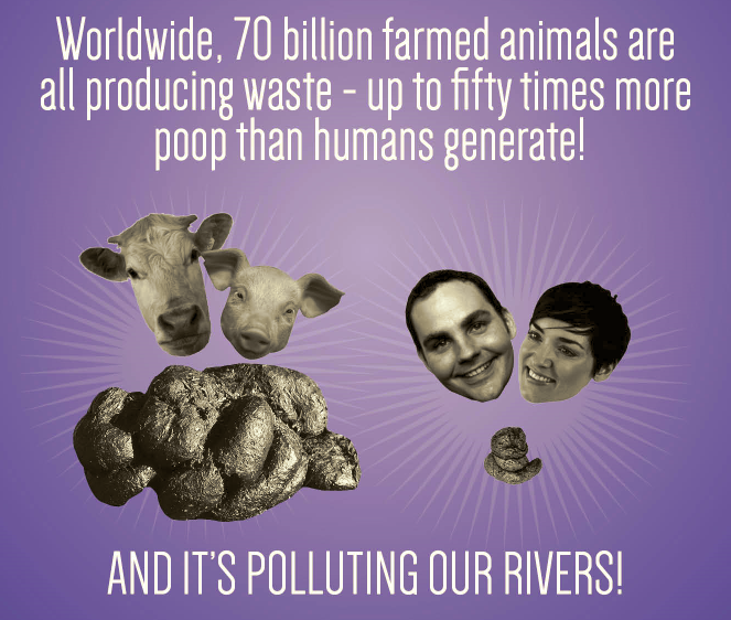 pollution