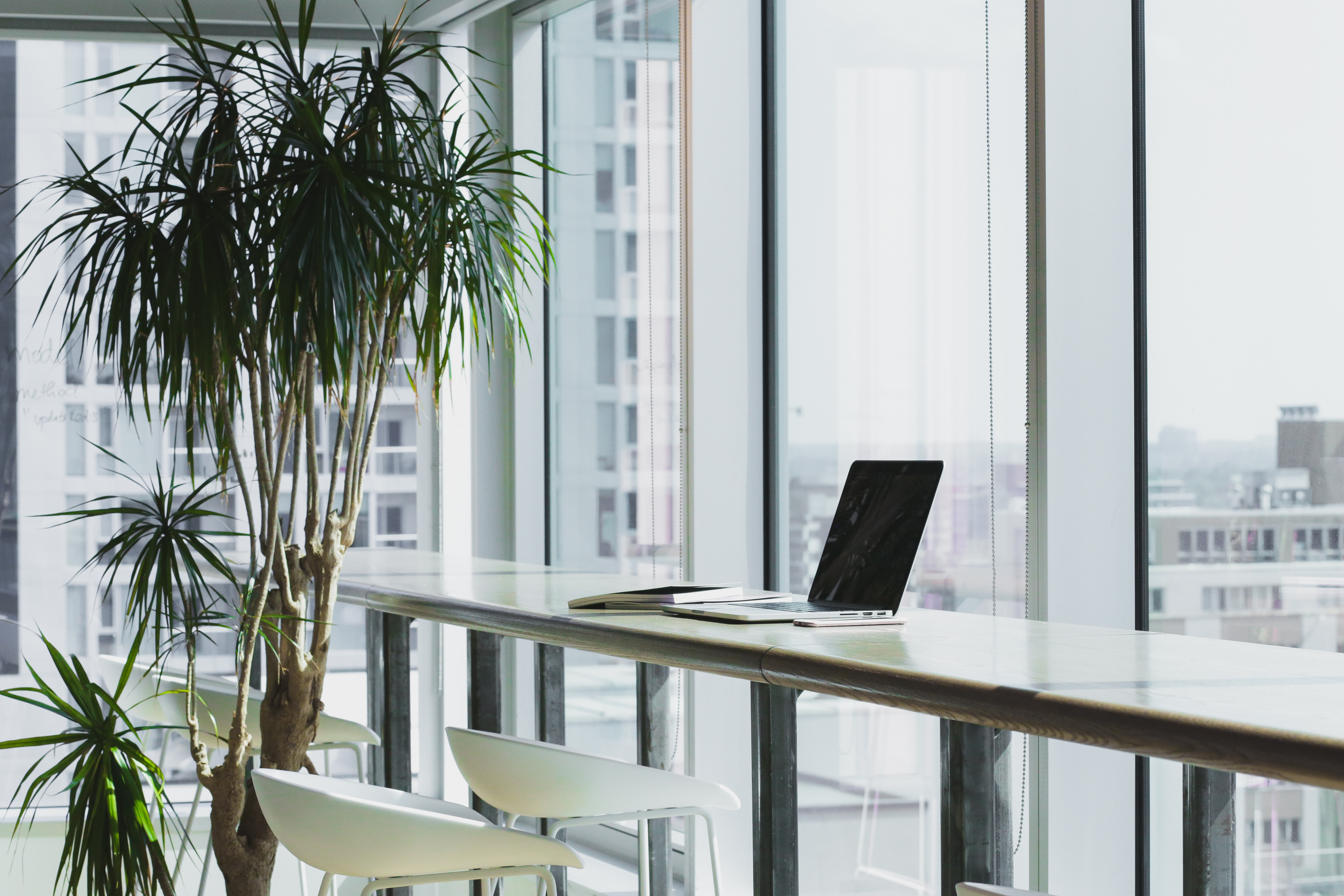 meat free office space