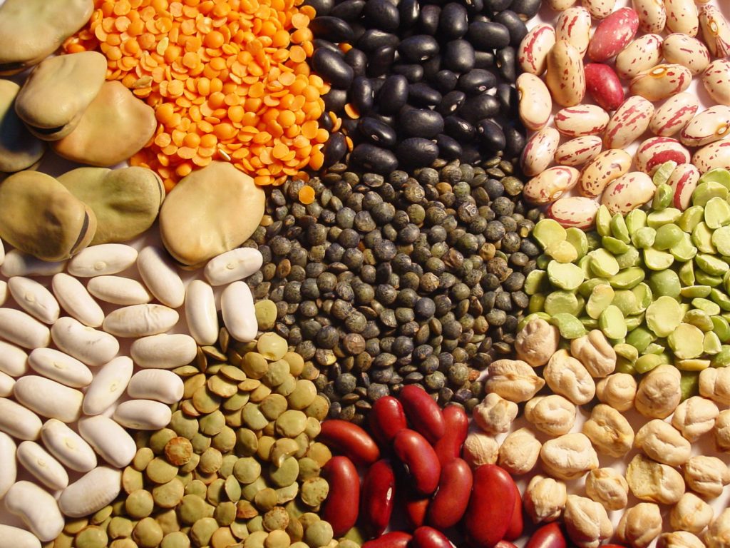 Proteínas y grasas