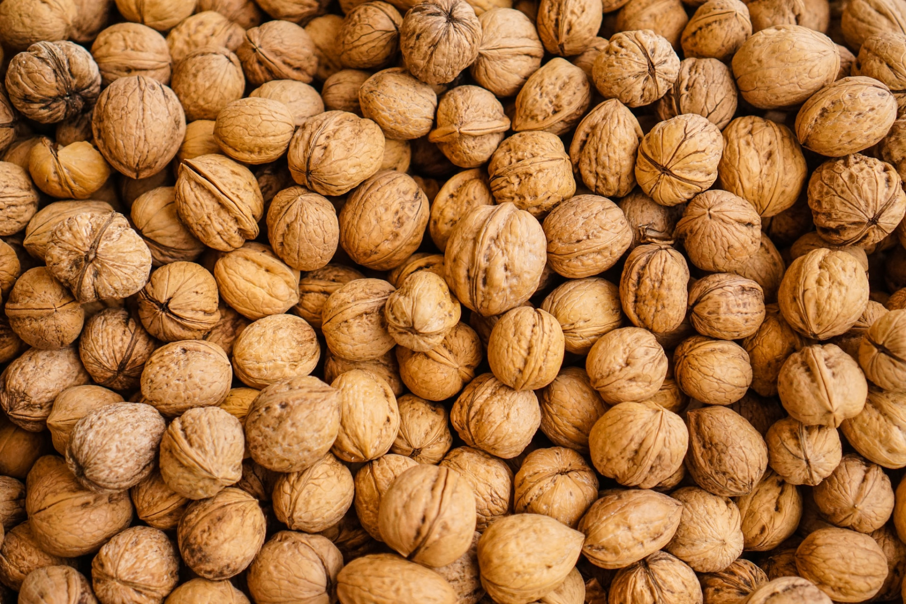 Nueces